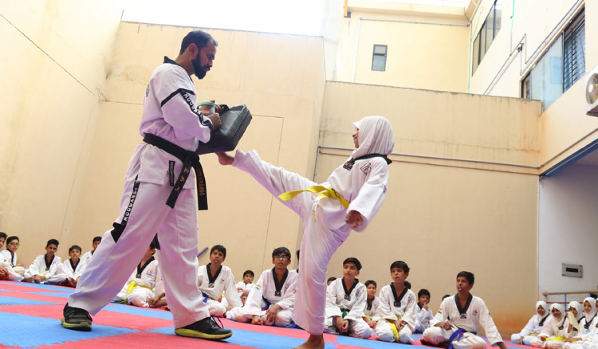 Taekwondo Training