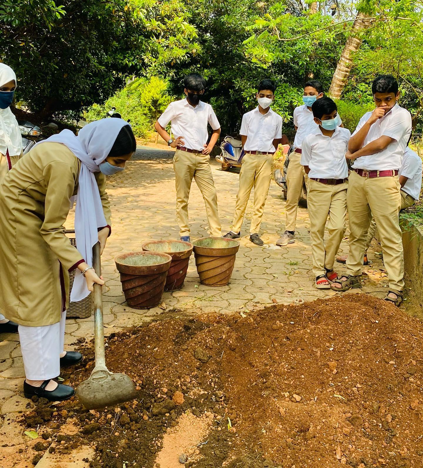 What Are Eco Club Activities